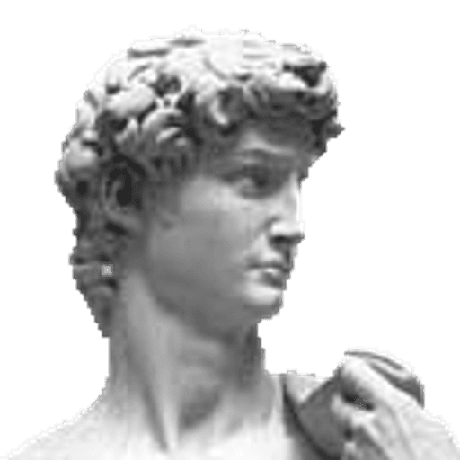 David sample before pixel conversion